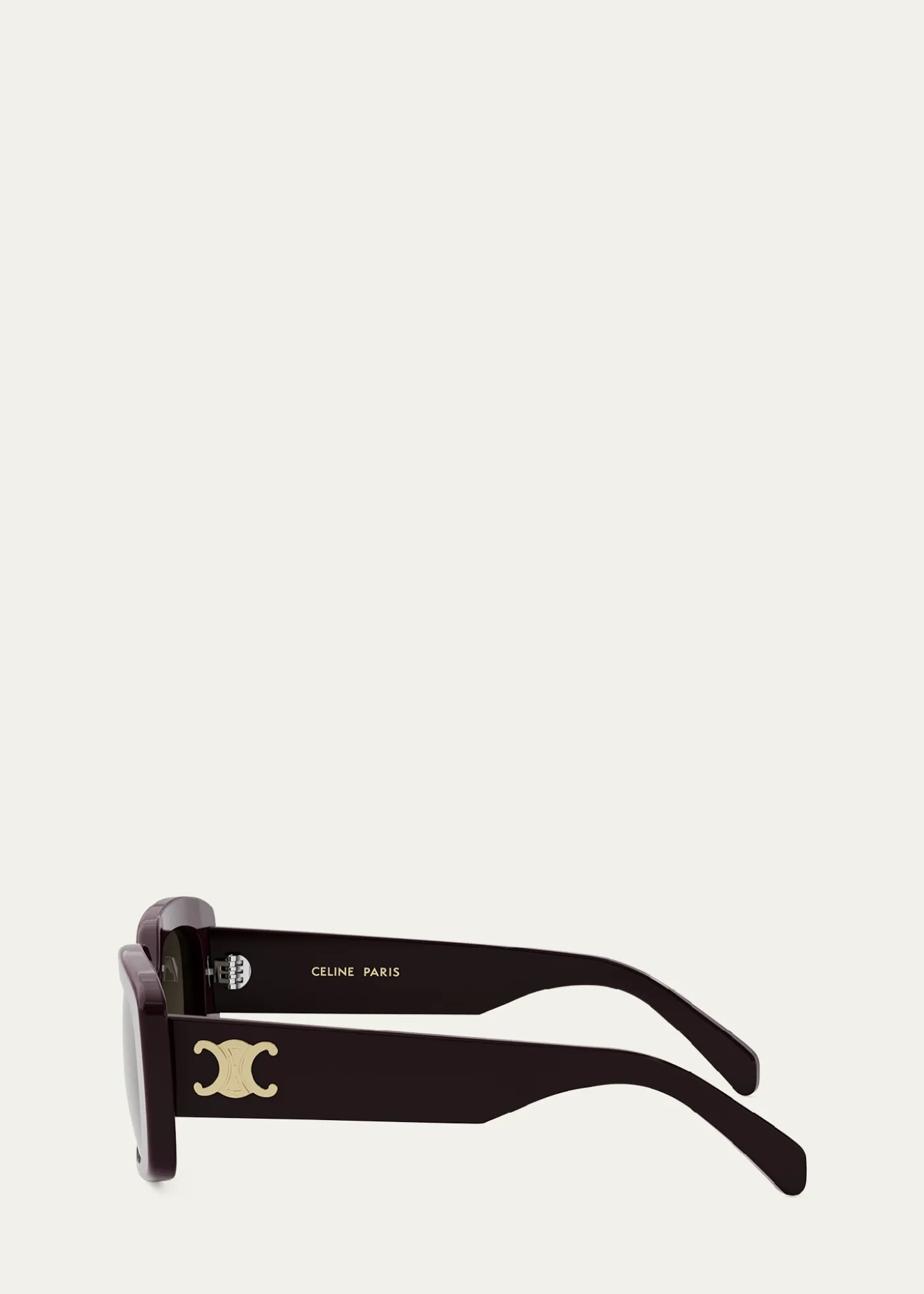 CelineTriomphe Acetate Butterfly Sunglasses