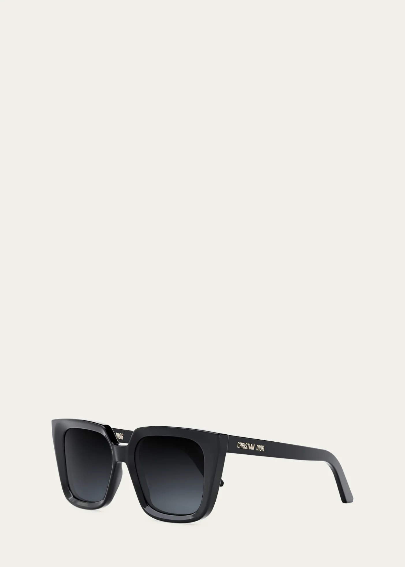 DiorDiorMidnight S1I Sunglasses