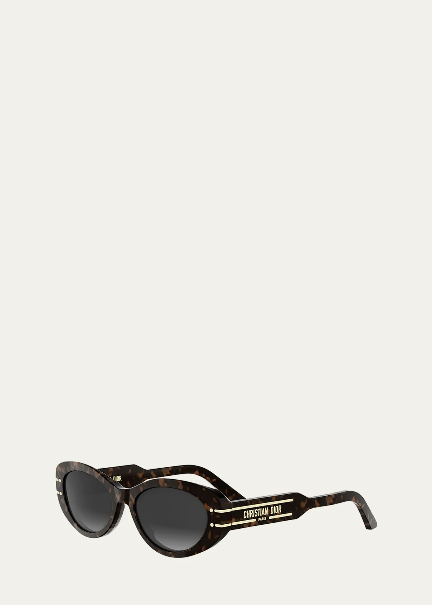 DiorDiorSignature B8U Acetate Oval Sunglasses