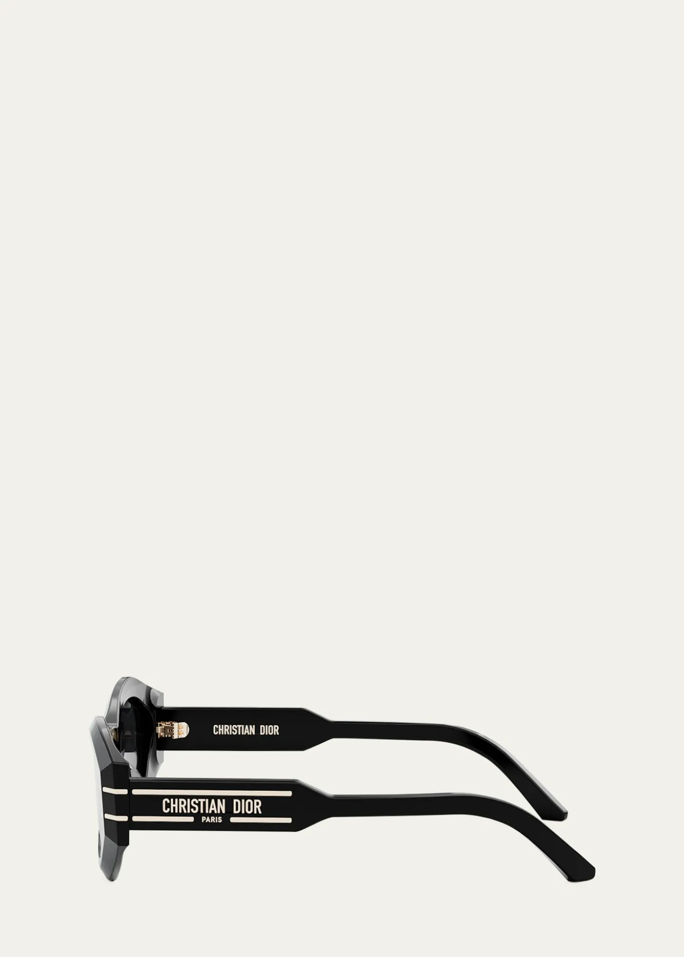 DiorDiorSignature B1U Sunglasses