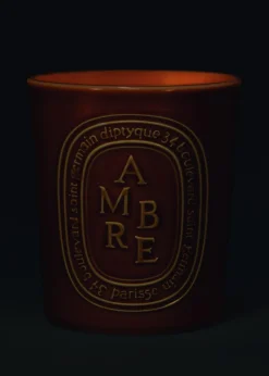 DIPTYQUEAmbre Candle, 600g