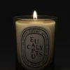 DIPTYQUEEucalyptus Classic Candle, 6.7 oz.