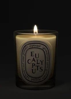 DIPTYQUEEucalyptus Classic Candle, 6.7 oz.