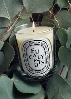 DIPTYQUEEucalyptus Classic Candle, 6.7 oz.