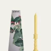 Loewe11.9 oz. Honeysuckle Wax Candleholder