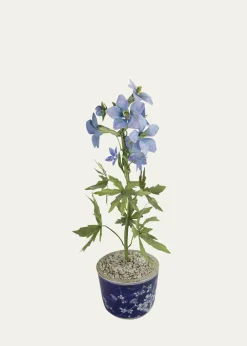 Tommy MitchellDelphinium July Birth Flower in Ceramic Pot