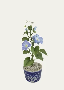Tommy MitchellMorning Glory September Birth Flower in Ceramic Pot